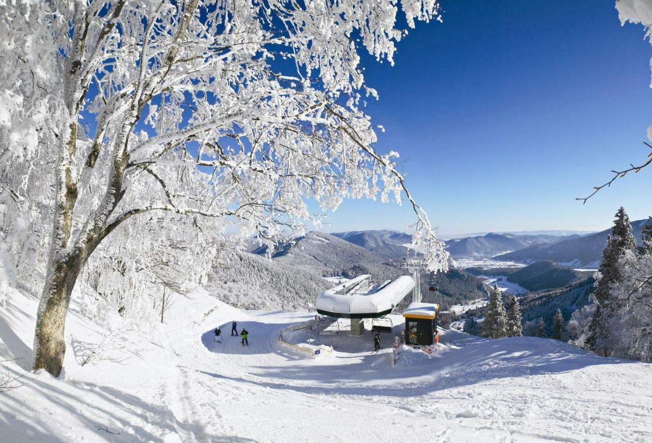 Haus Lenz Ferienwohnungen - Fam Ostermann Puchberg am Schneeberg Exterior photo